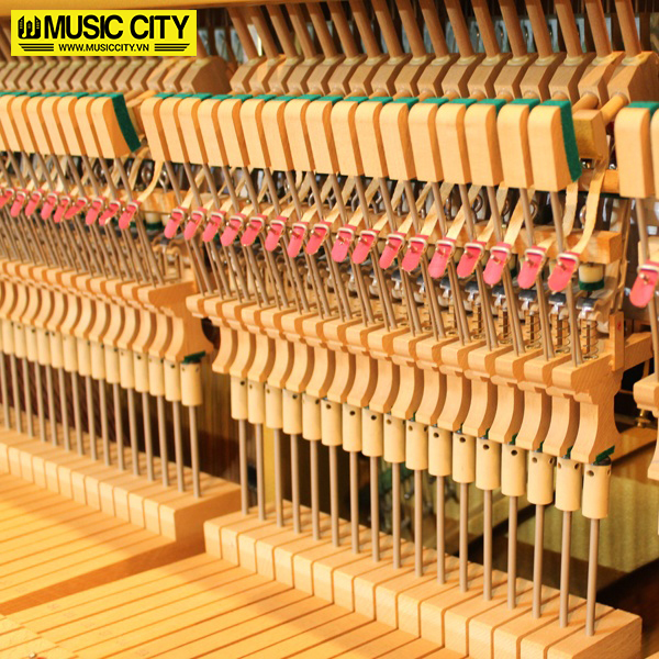 Music City – Tổng Kho Piano, Guitar, Organ | Dịch Vụ Giáo Dục Âm Nhạc