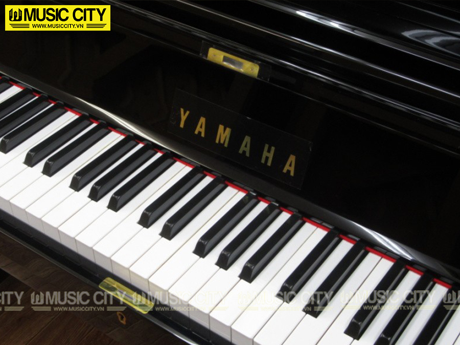 Music City – Tổng Kho Piano, Guitar, Organ | Dịch Vụ Giáo Dục Âm Nhạc