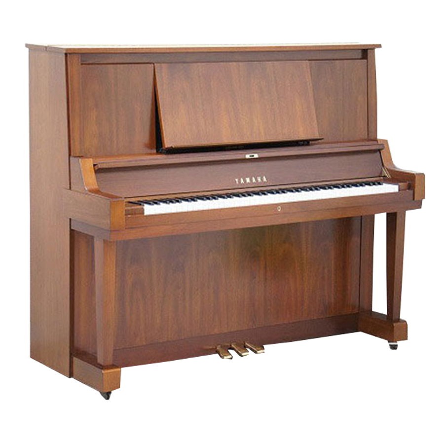 Music City – Tổng Kho Piano, Guitar, Organ | Dịch Vụ Giáo Dục Âm Nhạc