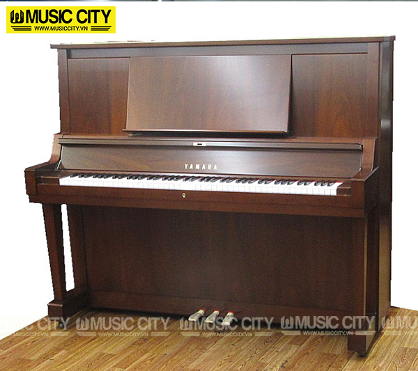 Music City – Tổng Kho Piano, Guitar, Organ | Dịch Vụ Giáo Dục Âm Nhạc