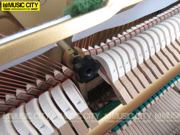 Music City – Tổng Kho Piano, Guitar, Organ | Dịch Vụ Giáo Dục Âm Nhạc
