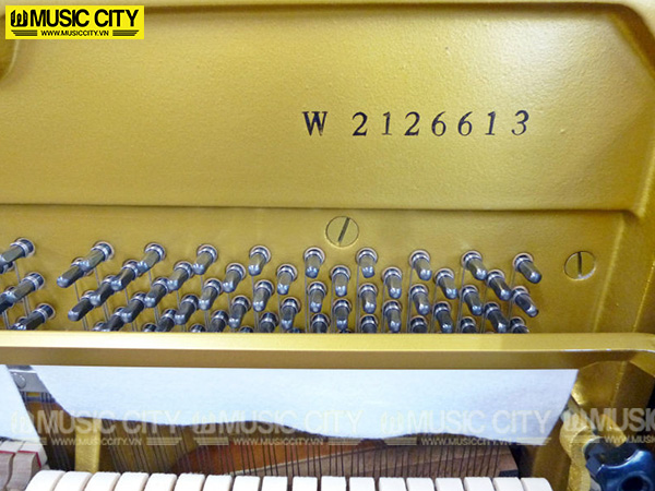 Music City – Tổng Kho Piano, Guitar, Organ | Dịch Vụ Giáo Dục Âm Nhạc