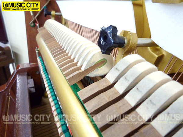 Music City – Tổng Kho Piano, Guitar, Organ | Dịch Vụ Giáo Dục Âm Nhạc