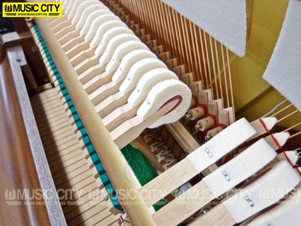 Music City – Tổng Kho Piano, Guitar, Organ | Dịch Vụ Giáo Dục Âm Nhạc