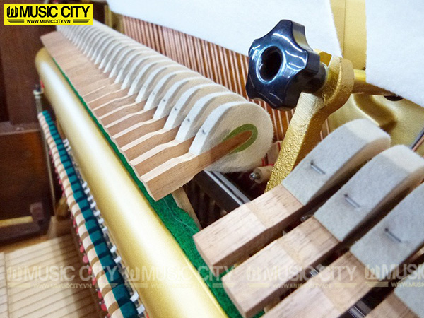 Music City – Tổng Kho Piano, Guitar, Organ | Dịch Vụ Giáo Dục Âm Nhạc