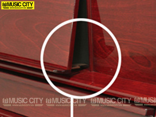Music City – Tổng Kho Piano, Guitar, Organ | Dịch Vụ Giáo Dục Âm Nhạc