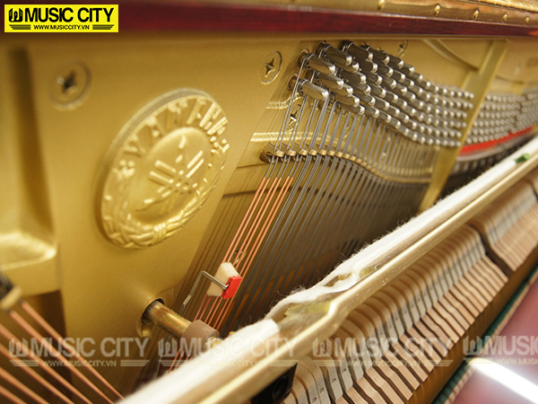 Music City – Tổng Kho Piano, Guitar, Organ | Dịch Vụ Giáo Dục Âm Nhạc