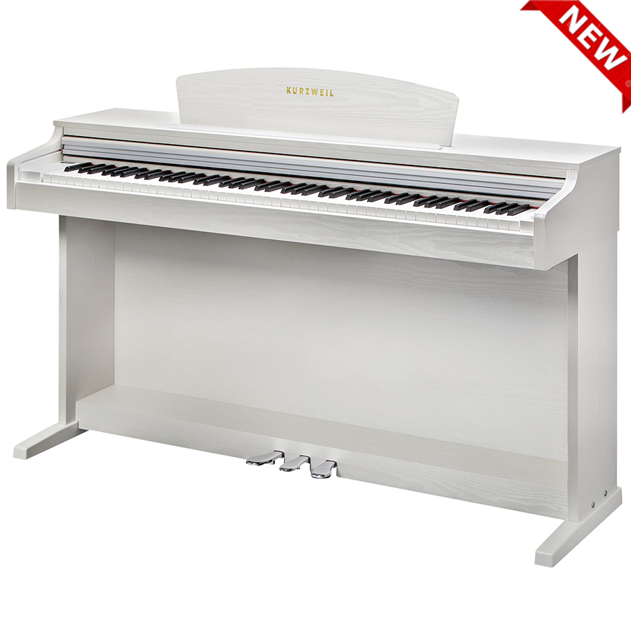 Music City – Tổng Kho Piano, Guitar, Organ | Dịch Vụ Giáo Dục Âm Nhạc