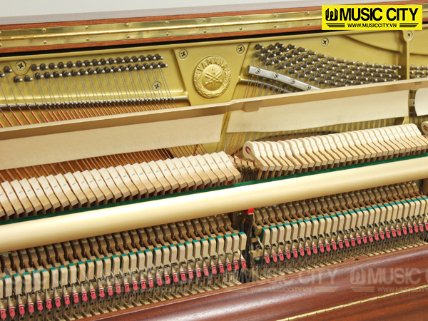 Music City – Tổng Kho Piano, Guitar, Organ | Dịch Vụ Giáo Dục Âm Nhạc