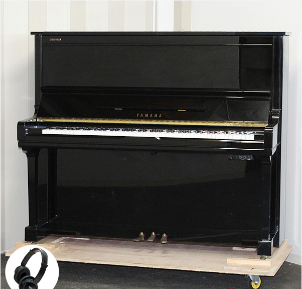 Music City – Tổng Kho Piano, Guitar, Organ | Dịch Vụ Giáo Dục Âm Nhạc
