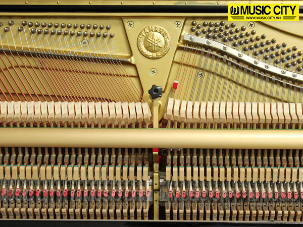 Music City – Tổng Kho Piano, Guitar, Organ | Dịch Vụ Giáo Dục Âm Nhạc