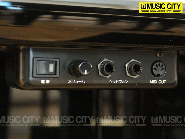 Music City – Tổng Kho Piano, Guitar, Organ | Dịch Vụ Giáo Dục Âm Nhạc