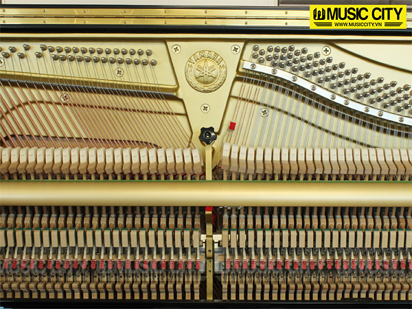 Music City – Tổng Kho Piano, Guitar, Organ | Dịch Vụ Giáo Dục Âm Nhạc