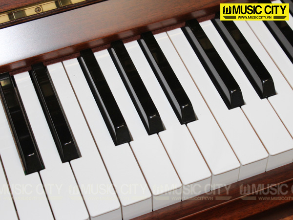 Music City – Tổng Kho Piano, Guitar, Organ | Dịch Vụ Giáo Dục Âm Nhạc