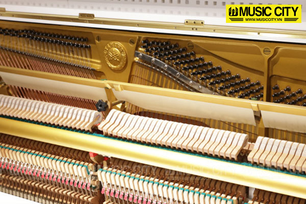 Music City – Tổng Kho Piano, Guitar, Organ | Dịch Vụ Giáo Dục Âm Nhạc