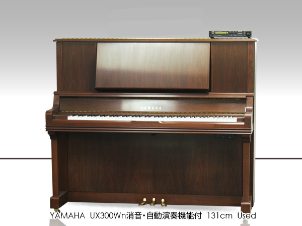 Music City – Tổng Kho Piano, Guitar, Organ | Dịch Vụ Giáo Dục Âm Nhạc
