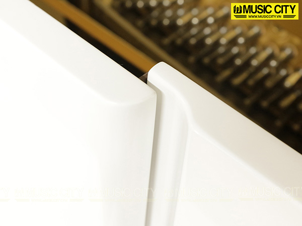Music City – Tổng Kho Piano, Guitar, Organ | Dịch Vụ Giáo Dục Âm Nhạc