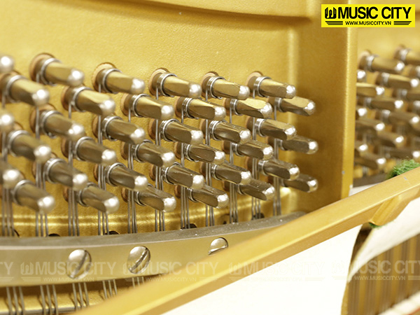 Music City – Tổng Kho Piano, Guitar, Organ | Dịch Vụ Giáo Dục Âm Nhạc