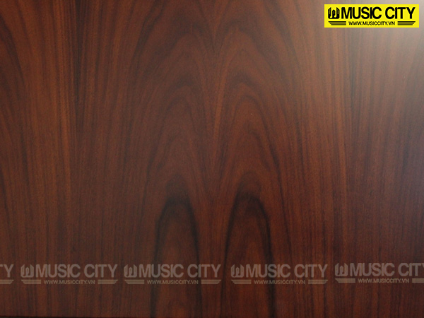 Music City – Tổng Kho Piano, Guitar, Organ | Dịch Vụ Giáo Dục Âm Nhạc