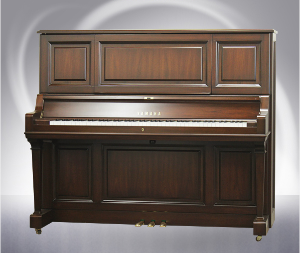 Music City – Tổng Kho Piano, Guitar, Organ | Dịch Vụ Giáo Dục Âm Nhạc