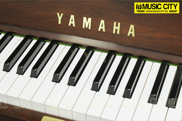Music City – Tổng Kho Piano, Guitar, Organ | Dịch Vụ Giáo Dục Âm Nhạc