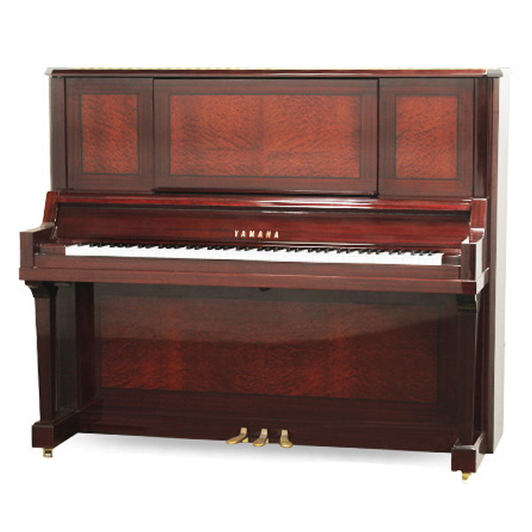 Music City – Tổng Kho Piano, Guitar, Organ | Dịch Vụ Giáo Dục Âm Nhạc