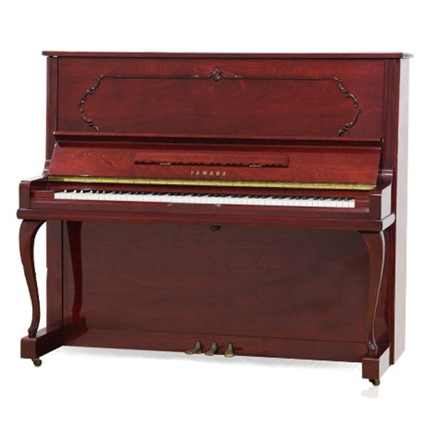 Music City – Tổng Kho Piano, Guitar, Organ | Dịch Vụ Giáo Dục Âm Nhạc