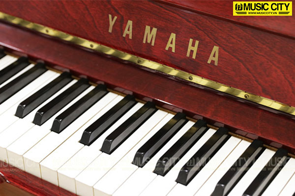Music City – Tổng Kho Piano, Guitar, Organ | Dịch Vụ Giáo Dục Âm Nhạc