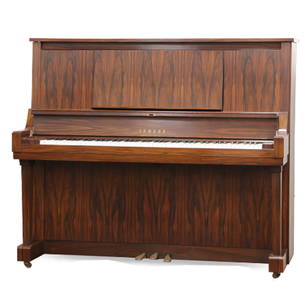Music City – Tổng Kho Piano, Guitar, Organ | Dịch Vụ Giáo Dục Âm Nhạc