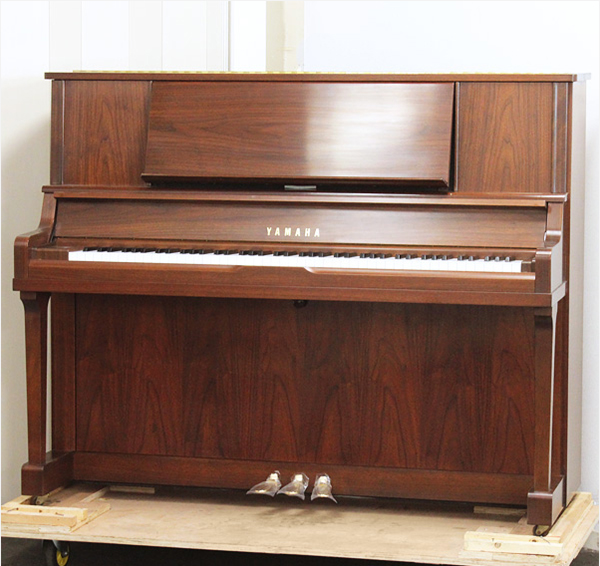Music City – Tổng Kho Piano, Guitar, Organ | Dịch Vụ Giáo Dục Âm Nhạc