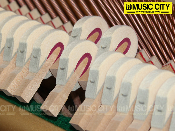 Music City – Tổng Kho Piano, Guitar, Organ | Dịch Vụ Giáo Dục Âm Nhạc