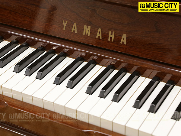 Music City – Tổng Kho Piano, Guitar, Organ | Dịch Vụ Giáo Dục Âm Nhạc