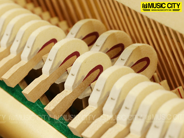 Music City – Tổng Kho Piano, Guitar, Organ | Dịch Vụ Giáo Dục Âm Nhạc