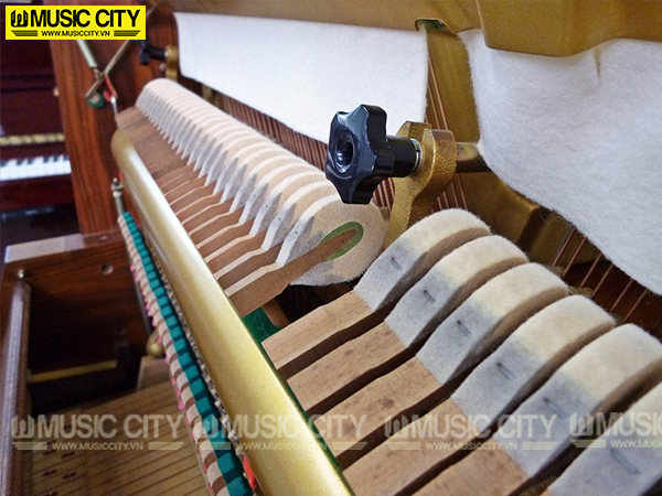 Music City – Tổng Kho Piano, Guitar, Organ | Dịch Vụ Giáo Dục Âm Nhạc
