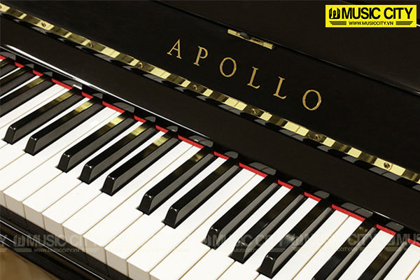 Music City – Tổng Kho Piano, Guitar, Organ | Dịch Vụ Giáo Dục Âm Nhạc