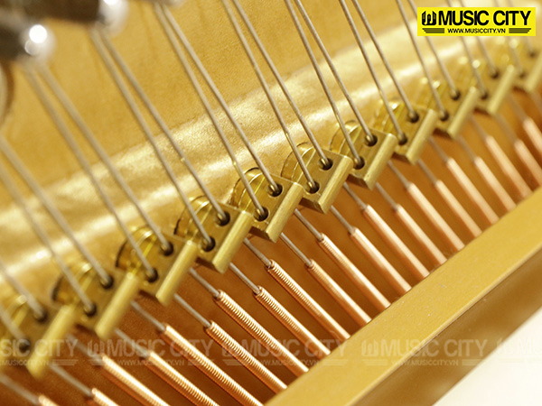 Music City – Tổng Kho Piano, Guitar, Organ | Dịch Vụ Giáo Dục Âm Nhạc