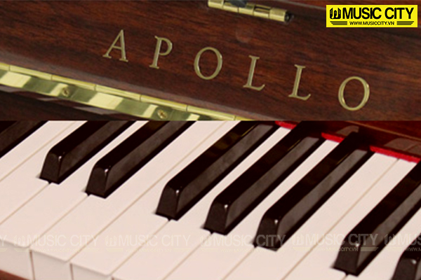 Hình ảnh đàn Piano Apollo A122 tại Music City Hình ảnh đàn Piano Apollo A122 tại Music City