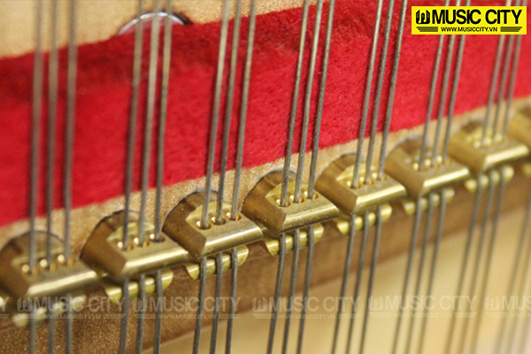Music City – Tổng Kho Piano, Guitar, Organ | Dịch Vụ Giáo Dục Âm Nhạc