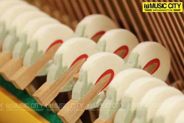 Music City – Tổng Kho Piano, Guitar, Organ | Dịch Vụ Giáo Dục Âm Nhạc