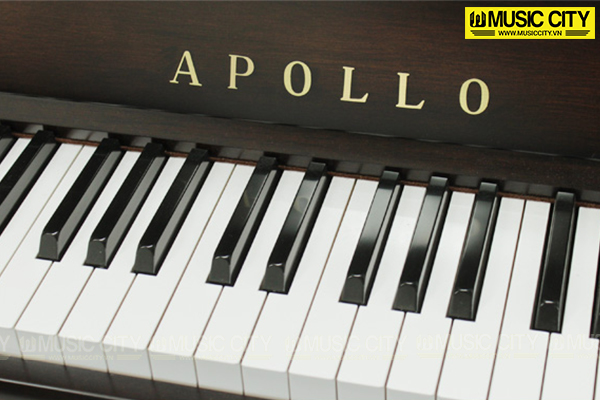 Hình ảnh Đàn Piano Apollo AW500 tại Music City