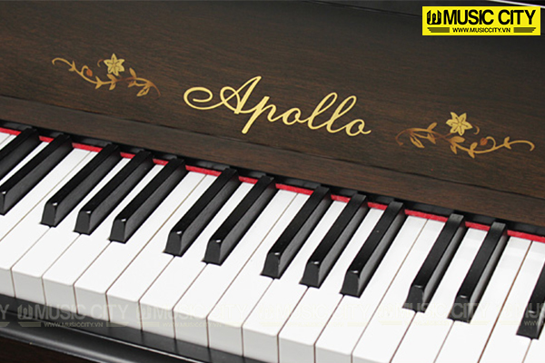 Hình ảnh Đàn Piano Apollo AW800 tại Music City Hình ảnh Đàn Piano Apollo AW800 tại Music City