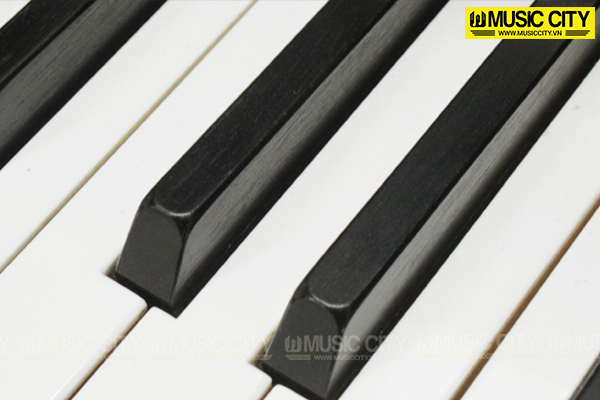 Music City – Tổng Kho Piano, Guitar, Organ | Dịch Vụ Giáo Dục Âm Nhạc