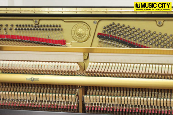 Music City – Tổng Kho Piano, Guitar, Organ | Dịch Vụ Giáo Dục Âm Nhạc
