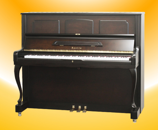 Music City – Tổng Kho Piano, Guitar, Organ | Dịch Vụ Giáo Dục Âm Nhạc