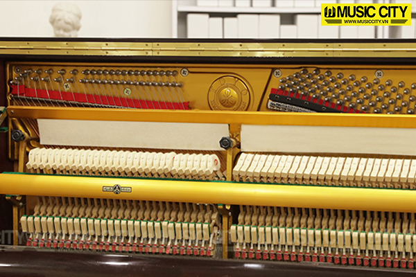Hình ảnh Đàn Piano Apollo SR250 tại Music City