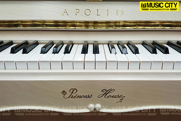 Hình ảnh Đàn Piano Apollo PrincessLily tại Music City