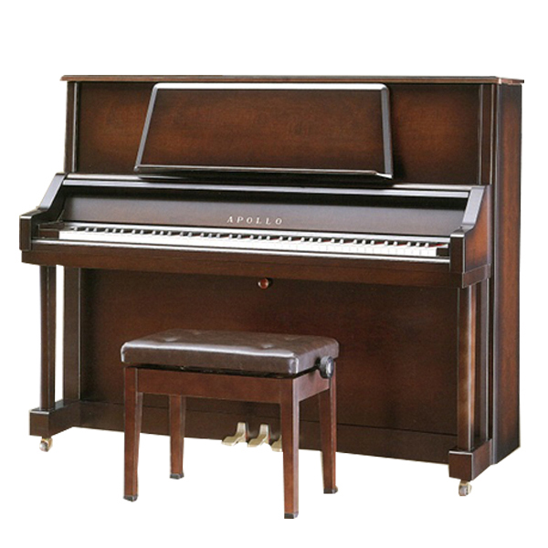 Music City – Tổng Kho Piano, Guitar, Organ | Dịch Vụ Giáo Dục Âm Nhạc