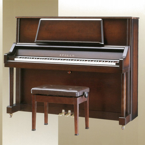 Music City – Tổng Kho Piano, Guitar, Organ | Dịch Vụ Giáo Dục Âm Nhạc