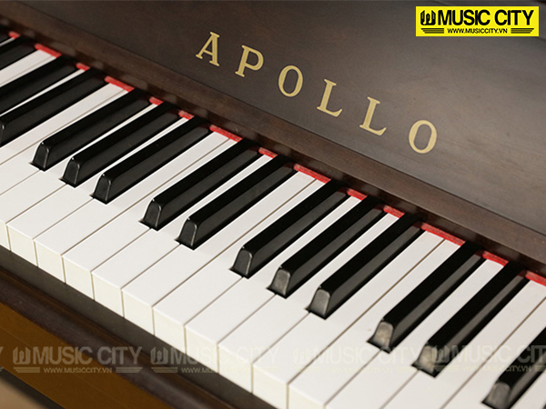 Hình ảnh Đàn Piano Apollo RU200 tại Music City Hình ảnh Đàn Piano Apollo RU200 tại Music City