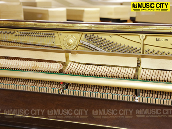Music City – Tổng Kho Piano, Guitar, Organ | Dịch Vụ Giáo Dục Âm Nhạc